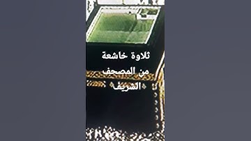#تلاوة رائعة لسورة المؤمنون الآية 74-78 من المصحف الشريف  💐💐💐