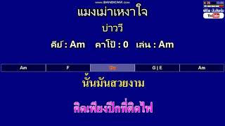 แมงเม่าเหงาใจ - บ่าววี ( MIDI คาราโอเกะ คอร์ดง่ายๆ ) คีย์ Am