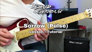 Pink Floyd - Sorrow (Pulse) - David Gilmour. Guitar tutorial Lesson.