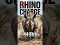 RHINO CHARGE PHONK 🦏 move or don't #funk #phonkagressive