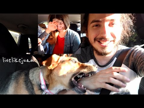 My Dog attacked me!| The surprise that made her cry and my dog hate me