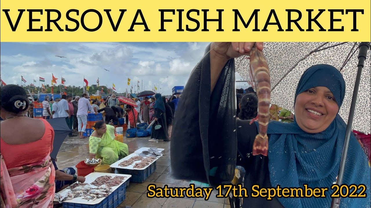 Fish Market Wholesale Fish Market In Versova Big fish-market-wholesale-fish-market-in-versova-big