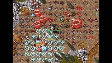 Roshamuul hunt MADD exp