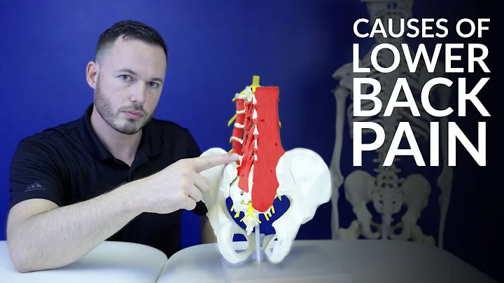 Low back pain- The most common causes of lower back pain - DayDayNews