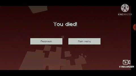 What if you jump into the void with totem of undying🤔?