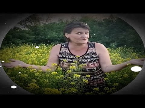 Никто не терял бабу