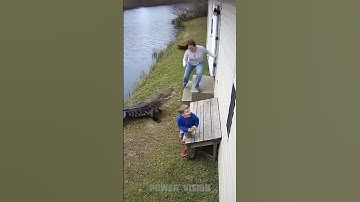 Crocodile attack