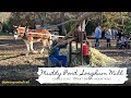 Muddy Pond Sorghum Mill at Cades Cove | Great Smoky Mountains