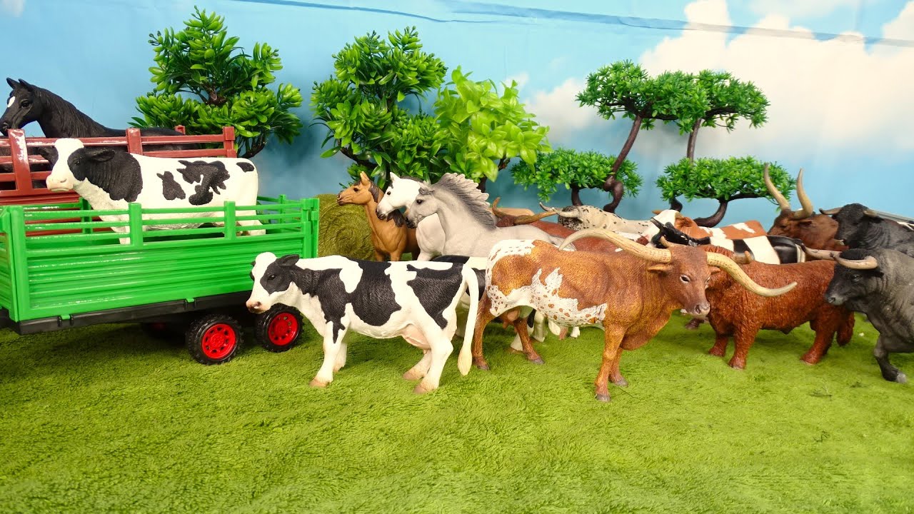 Taking animals/ Mucche/Vacas/Horses/sheep/Trasportando animali/ Trasporto TORI