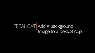 Feral Cat - Add A Background Image to a NextJS App