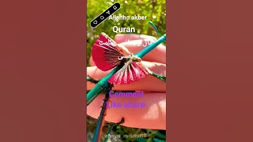 #القران_الكريم #تلاوه_خاشعه #قال رب انیی ظلمت نفسی #الشيخ محمود الشحات #المصحف #foryou