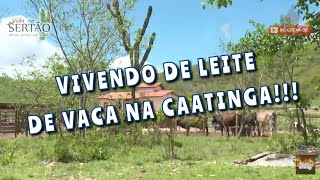 PECUARISTA VIVE DO LEITE NO SERTÃO. screenshot 4
