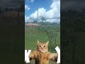 kkkkkkkkkkkkkkk