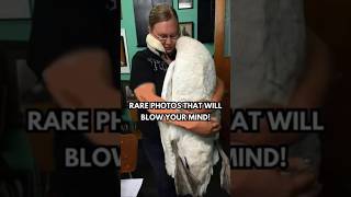 Insane Rare Photos That Will Leave You Speechless Part 644