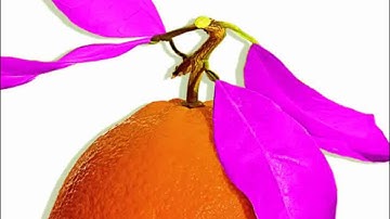 How to Use the Smart Brush Tool in Photoshop Elements