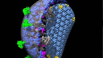 Chimera 1.8 with autoPACK .apr reader to visualize HIV models in realtime