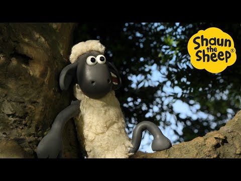 Stuck Up A Tree Shaun The Sheep Cartoons For Kids Full Episodes Compilation 1 Hour
