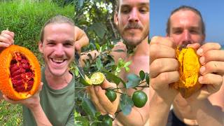 Pouvez-Vous Deviner Quel Est Mon Fruit Préféré ?