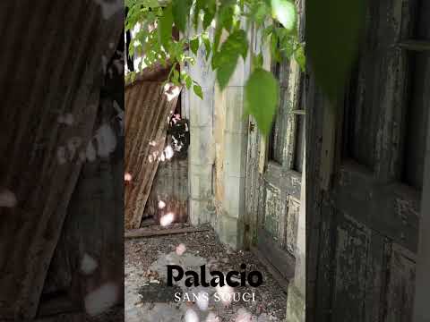 Explorando las ruinas del Palacio Sans Souci #exploracionurbana #lugaresabandonados