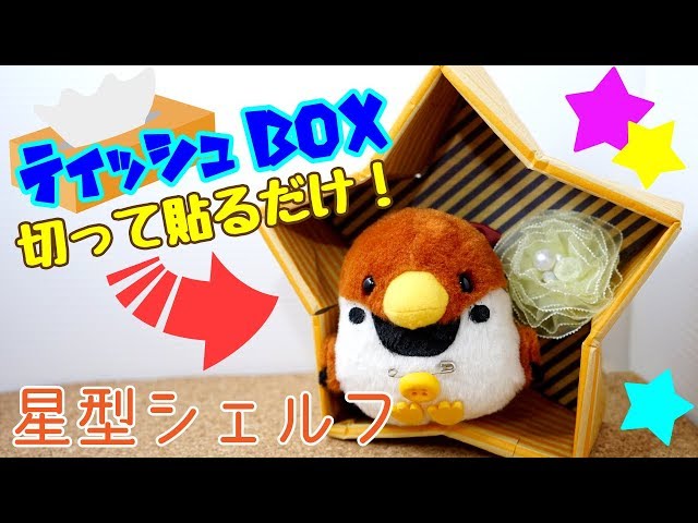 星型シェルフNEW!