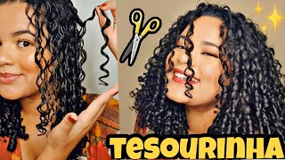 Como Finalizar O Cabelo Cacheado Com A Técnica Tesourinha Semana Da Finalização Definição.