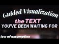 Feel the state of the wish fulfilled  guided visualization 30min