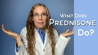 What Does Prednisone Do? (What to expect)