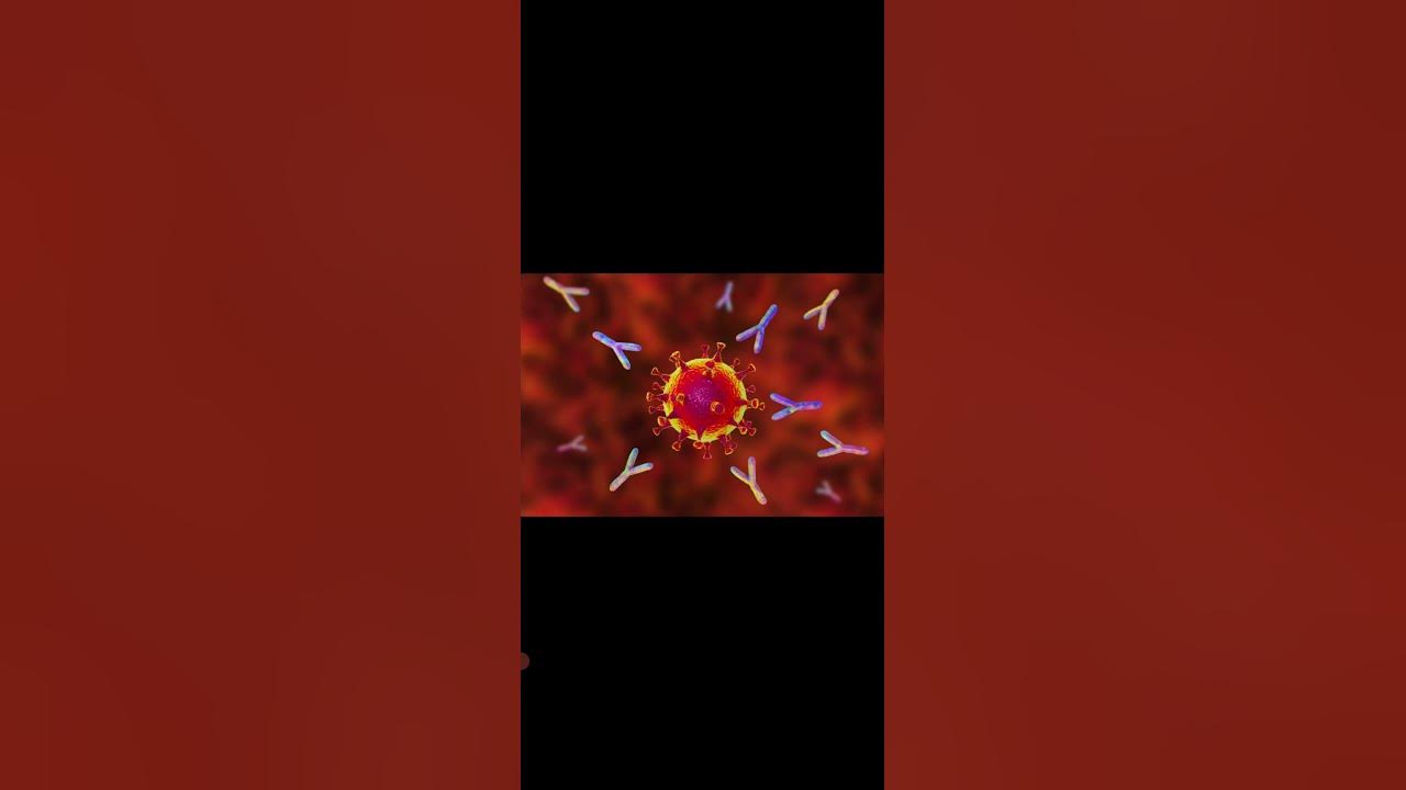 What is Antigen Define Antigen shorts antigen biology 