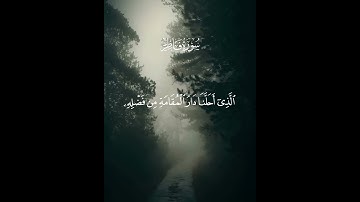 وقالوا الحمد لله الذي أذهب عنا الحزن ، الشيخ ناصر القطامي تلاوة من أرق التلاوات. #قرآن_كريم