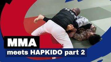 MMA meets Hapkido part 2, How to Stay Relevant in the Modern Martial Arts World