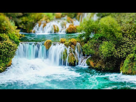 Ney Sesi, Akarsu Sesi, Su Sesi,Kuş Sesi,Doğa Sesi,Şifalı Sesler,Terapi, Meditasyon,Rahatlatıcı Müzik