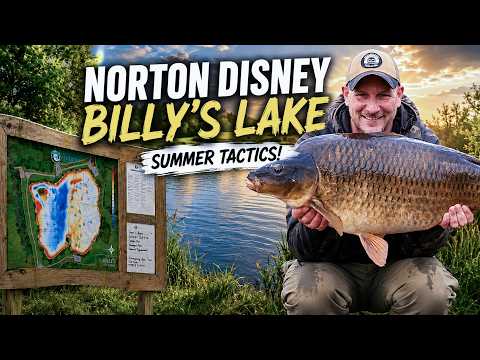 Norton Disney Billys Lake Summer Tactics | Complete Guide