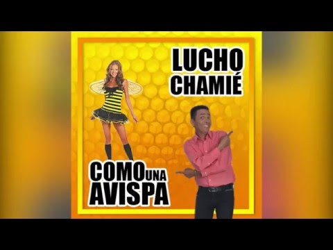 COMO UNA AVISPA LUCHO CHAMIÉ PARODIA DE MATERIALISTA DE SILVESTRE DANGOND