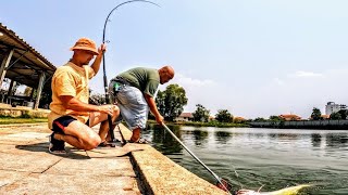 Тонны рыбы в нано луже! Эти рыбины ломают все снасти ЁКЛМН! Рыбалка на сома. Рыбалка 2024.