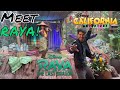 Meet Raya from Raya and the Last Dragon! At Disneyland California Adventure 2022