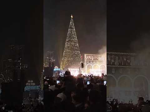 جانب من انارة اضواء شجرة الميلاد 2025 في يريفان