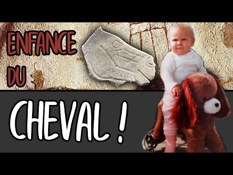 PRÉHISTOIRE de l'équitation !