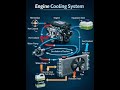 Engine Cooling System #fblifestyle #automobile #carengine #torquecraft #mechanic #carmotor #science