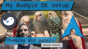 My Budgie Desktop setup on Arch Linux (theming and panels)