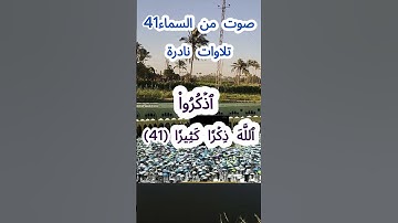 صوت من السماء 41 # تلاوة نادرة #قرآن #قران_كريم #قران #قرآن_كريم #اكسبلور #الشيخ مبارك  #الشيخ