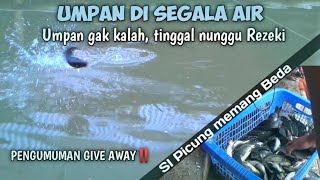 Download Lagu UMPAN LAMA DI TES KEMBALI MP3 Download Lagu UMPAN LAMA DI TES KEMBALI MP3