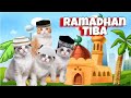 viral ! Ramadhan Tiba Versi Kucing Lucu 😅