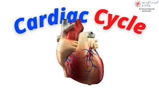 Cardiac Cycle Physiology - Cardiac System Animation