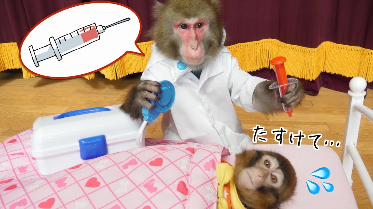 When I taught a monkey to play doctor, he made a series of medical
