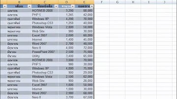 การใช้งาน Excel 2007 ตอนที่ 8 - การบริหารข้อมูลบนเวิร์กชีต