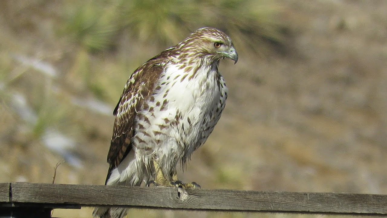 Bluff Lake Nature Center