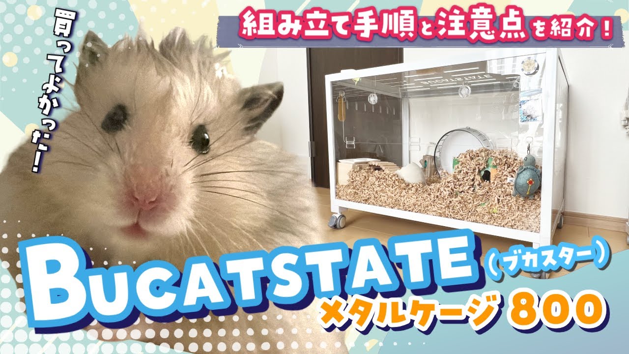 BUCATSTATE800 ハムスターケージ 引き取り handmadeさん専用 BUCATSTATE800 ハムスターケージ 引き取り handmadeさん専用