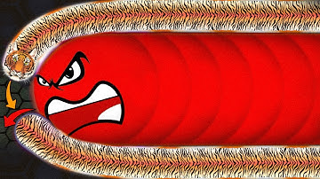 Wormate | Đã tìm ra người ĐỨNG ĐẦU trò chơi RẮN SĂN MỒI | Kẹo Ngọt