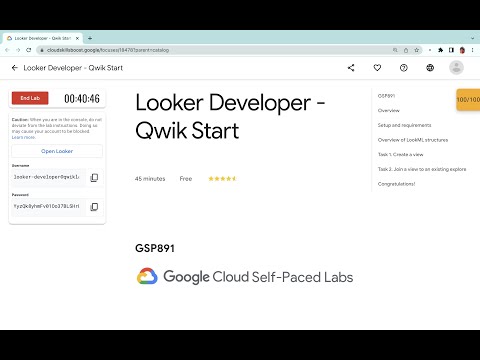 Looker Developer -