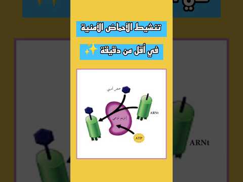 تنشيط الأحماض الأمنية في أقل من دقيقة